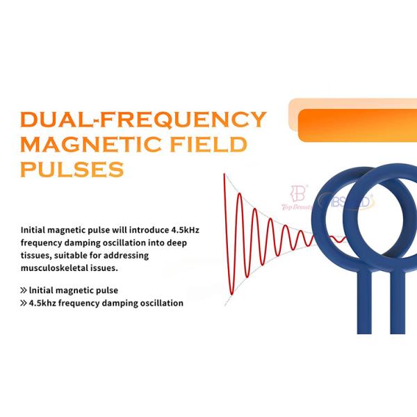 Магнетотерапия Pemf Loop Mat Терагерцевое магнитное устройство