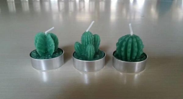 Decor green bonsai plants unscented candle with metal cup and the package of  paper tray and PVC box