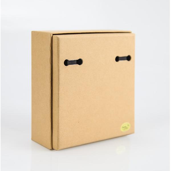 Luxury Custom Design Digital Printing kraft paper earings jewelry packaging Box