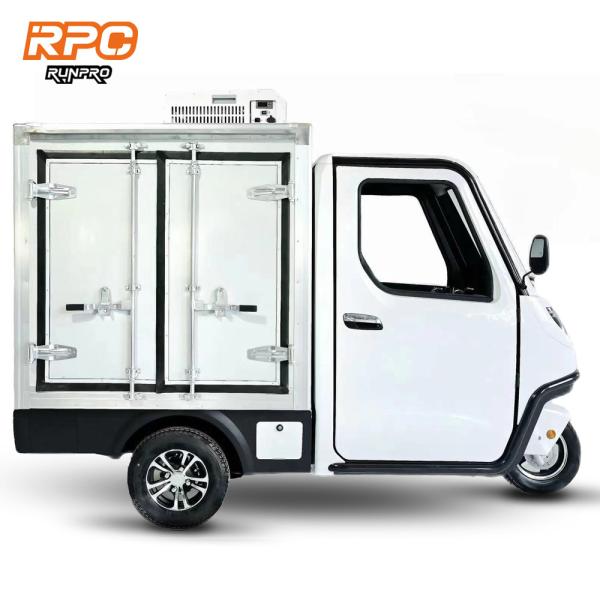 Triciclo elétrico de carga certificado CEE com pneu dianteiro 3.50-10 e pneu traseiro 4.00-10