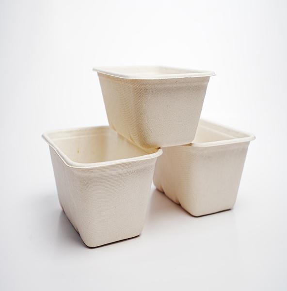 Customized Wholesale Eco-friendly Packaging Biodegradable Corn Residue Disposable Takeaway Food Box Cover