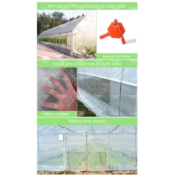 Roll Up Sides Ventilation Sustainable Hothouse High Tunnel Greenhouse for Farm