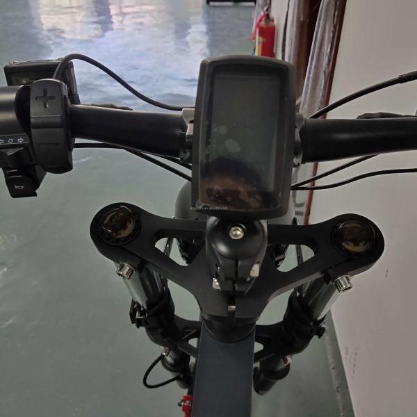 18650 Battery Ladies Folding Electric Bike Lightweight 2000 Watt E Bike