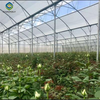 Customization Commercial Gothic Type Greenhouse With Electric Systems