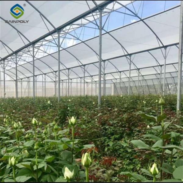 Galvanized Steel Gothic Shaped Greenhouse Snow Resistance With Ventilation System