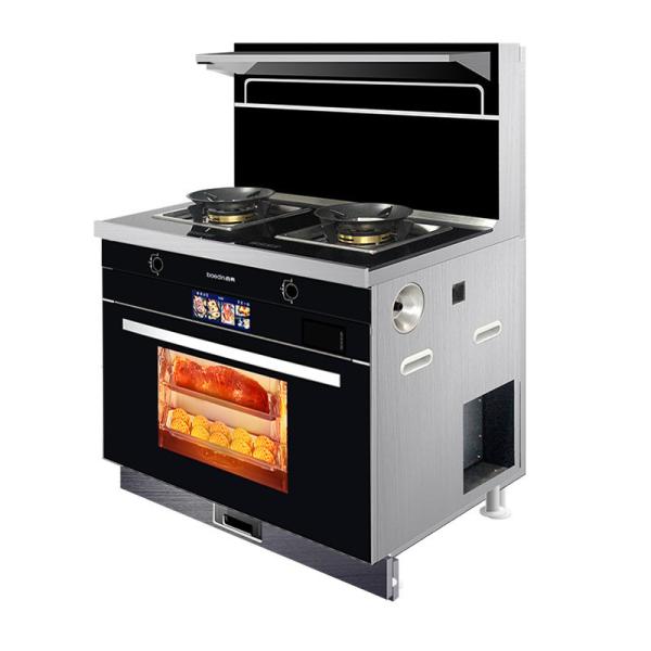 Integrated Stove with 2 Burners Picture Gas Stove Steamer and Oven from Manufacturing