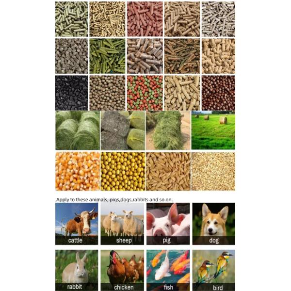 SGS Feed Pellet Production Line Animals 500-1000kg/H 17*5*5.5m