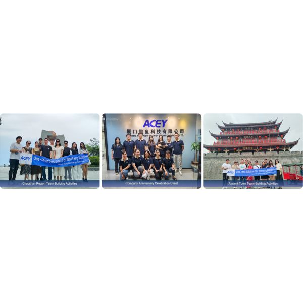 Xiamen Acey New Energy Technology Co., Ltd