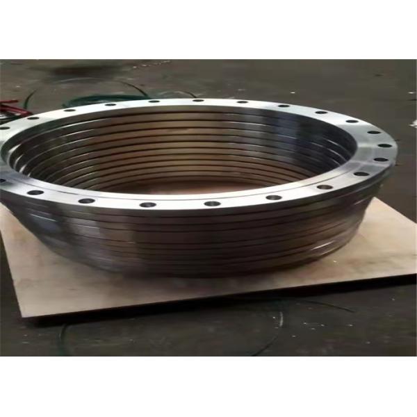 Шея сварки 72 дюймов подняла смазанное доказательство ржавчины фланца 310S 316LN 317L стороны