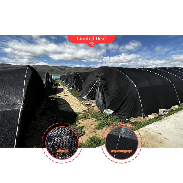Plastic Film and Shade Net Mushroom Farm Greenhouses Hot Galvanized Steel Structure