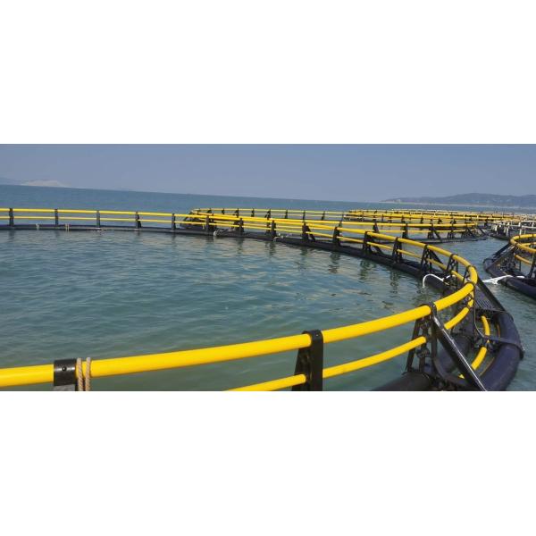 Round HDPE Aquaculture Marine Cage for Bass Cultured Environmentally Friendly