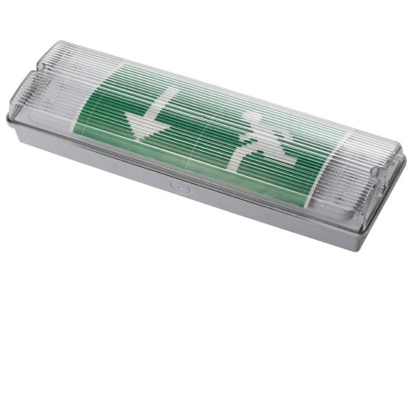 3W LED Emergency Light 6000K Waterproof Wall Mounted