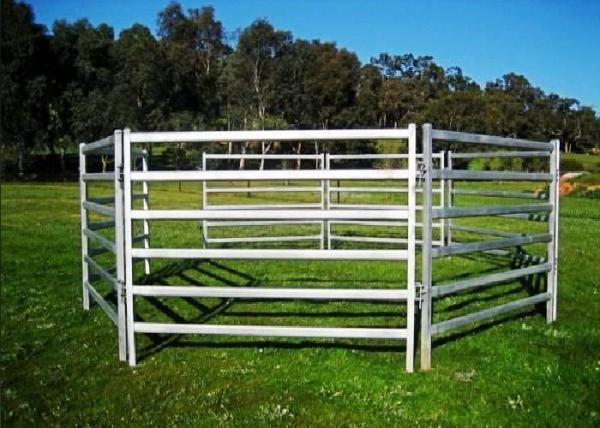 High Strength Q345 Steel Horse Fence Anti Chew Coating 1.8m Height