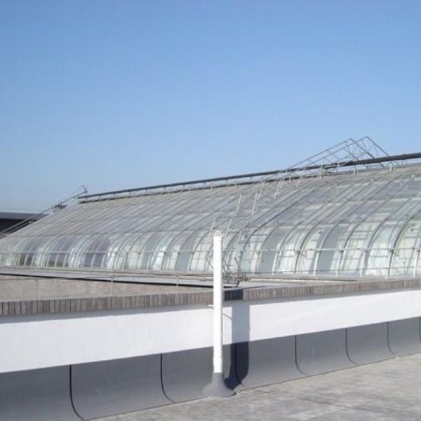 Continuous Heating and Tunnel Cultivation Method Agricultural Plastic Film Greenhouse