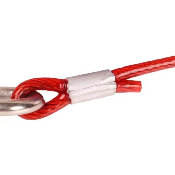 Câble d'attache et piquet pour chien robuste pour chiens jusqu'à 40 kg, anti-morsure, laisse en câble d'acier pour chien