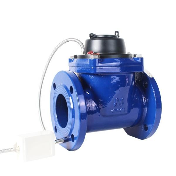Dn50 NBIOT Water Flow Meter Dn40 Water Meter with Reed Switch with Remote Reading