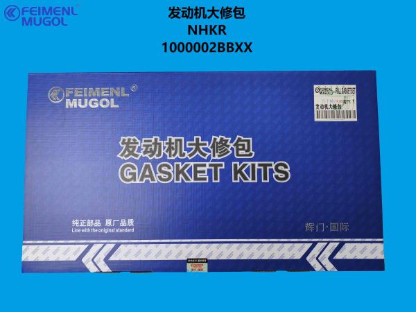 1000002BBXX-HM Premium Quality Engine Kit – Restore Power to Your Isuzu NKR Diesel