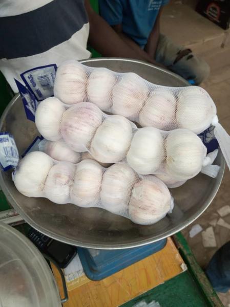 Garlic to Senegal with 10kg carton box.Normal white garlic export.