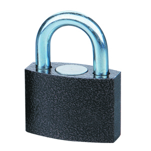 Rarlux Industrial Safety Durable High Security Solid Iron Disc Padlock 60-70mm with Plastic Painted Body and 3 Pcs Vane Keys