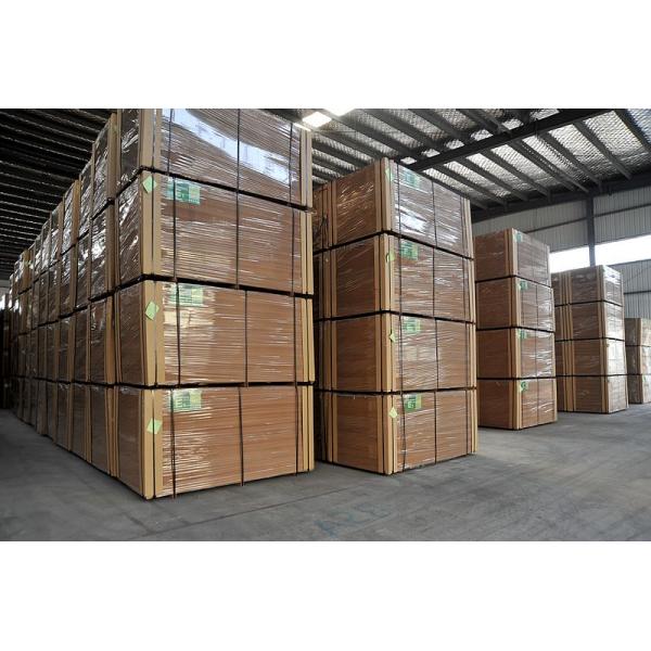 Derma Rolling System with 1 3 5 7 9 12 24 36 42 Pins Nano Needle Cartridge Skin Care