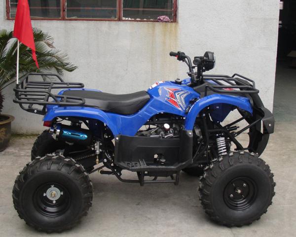 8 juventude Atv do pneu 150cc com o começo do pé, único cilindro todo o veículo utilitário do terreno