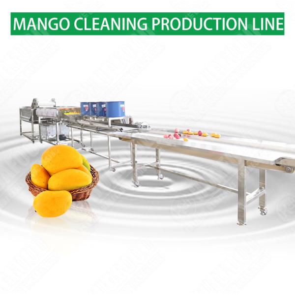 Commercial Fruit & Vegetable Processing Machines Dryer Fruit And Vegetables Dried Fruit Processing Machine