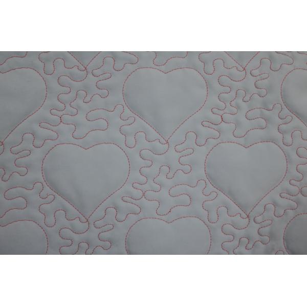 La impulsión serva automatizó la máquina que acolchaba 150m/H