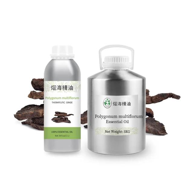 factory supply wholesale 100% pure organic bulk Polygonum multiflorum oil