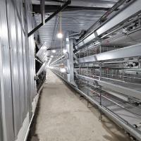 Type de H système de alimentation automatique du conducteur 3-8tiers de nourriture de poulet pour des poulets