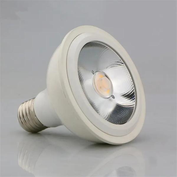 12W Par30 Cob Led E27 Led Anti Glare Surface Mounted Down Light Led Spotlight suitable