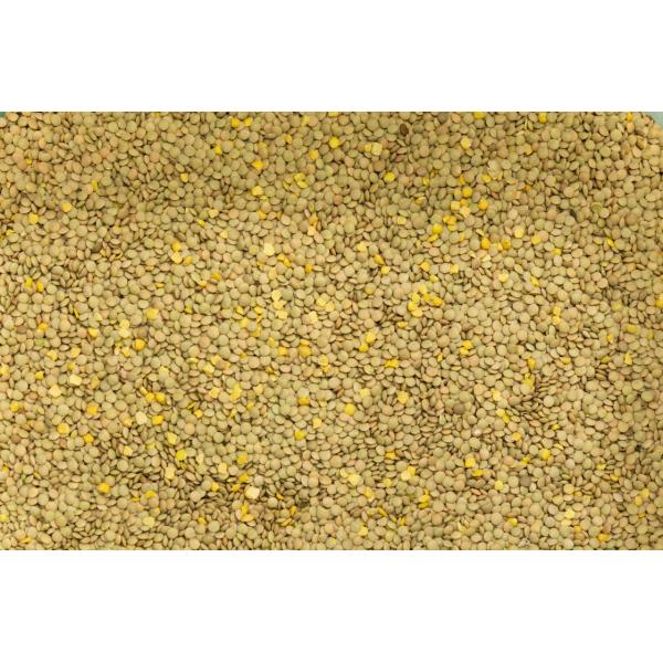 2025  Newest Model CCD Color Sorter Machine For Wheat Rice Sorghum Cereals