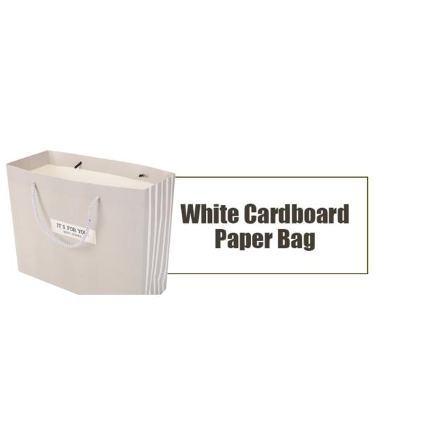 Double Wall 28*22*28cm Eco Friendly Paper Bag