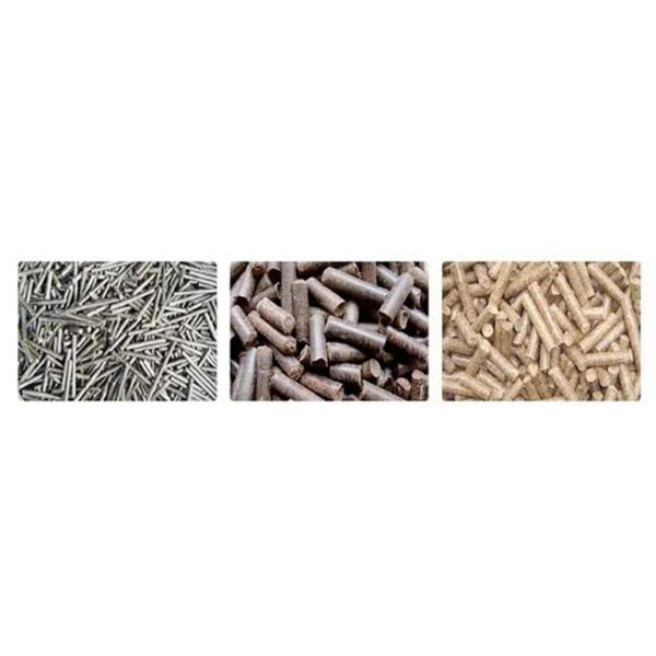Wood Fuel Pellet Making Machine Wood Pellet Mill Sawdust Pellet Mill