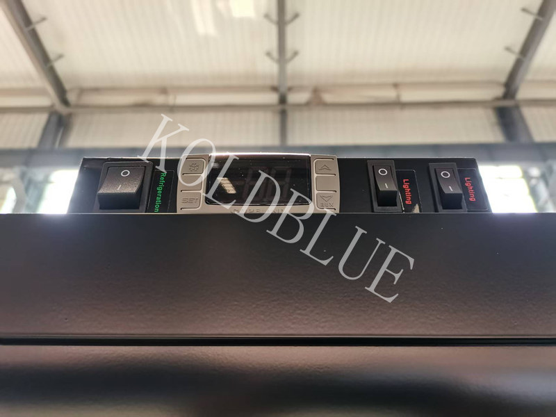 Commercial Open Display Fridge with Wide Frontage and LED Shelf Lighting GAEA250L