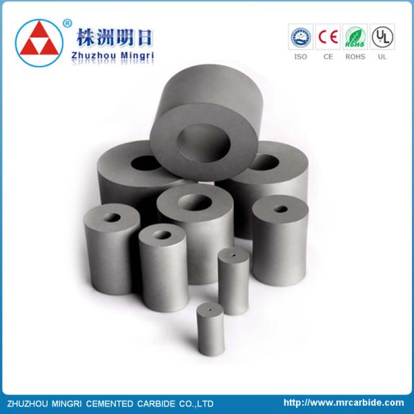 Matrice se dirigeante froide Hardmetall de carbure cimenté de tungstène de GT40 GT55