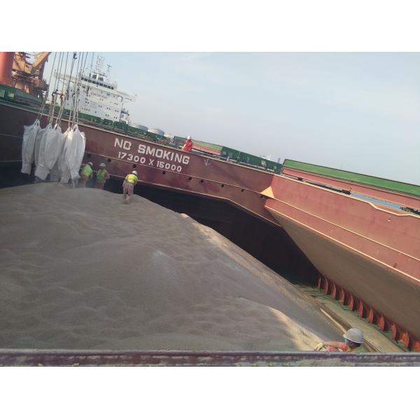 Ingrédient dans les aliments pour poissons de mer