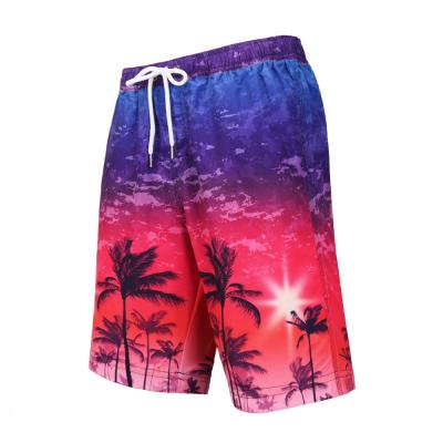 Summer Parited Beach Wear Colorful 2XL SUP Board Shorts