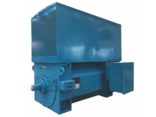High Efficient High Voltage Electric Motor 6KV And 10KV  Energy Saving