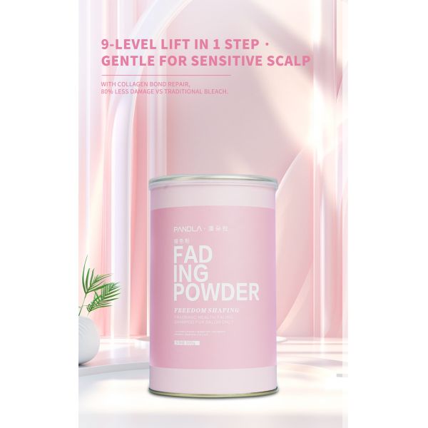 Poudre Décolorante Professionnelle pour Cheveux de Salon 500g Formule à Base de Plantes Coloration Permanente