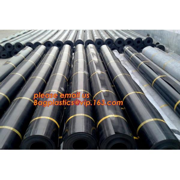 Construction Builder Film, Waterproof Dampproof, PONDS LINER, Geomembrane, Geotextile, Protective Cover