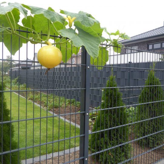 Double Wire Mesh Fence Long Lasting Durability For Harsh Environments