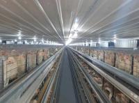 Metal Poultry Breeding Base Pre Engineered Metal Building