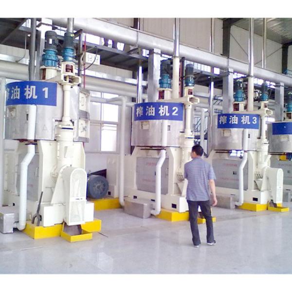 Automatic Grade Automatic Big Capacity Cotton Seed Oil Press Machine Castor Oil Mill Processing Machinery