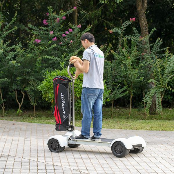 4 Wheel Golf Cart Scooter EcoRider 60V Electric 2000w With Removable Handle