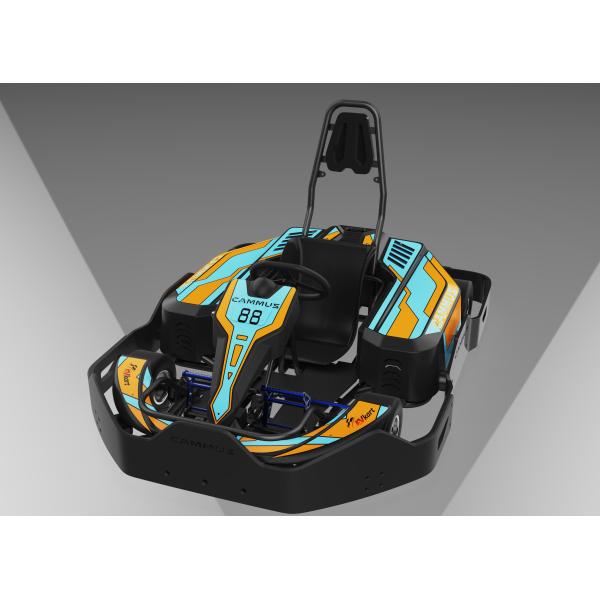 Электрические дети EV идут сила 750w мотора Kart с эпицентром деятельности колеса 5inch