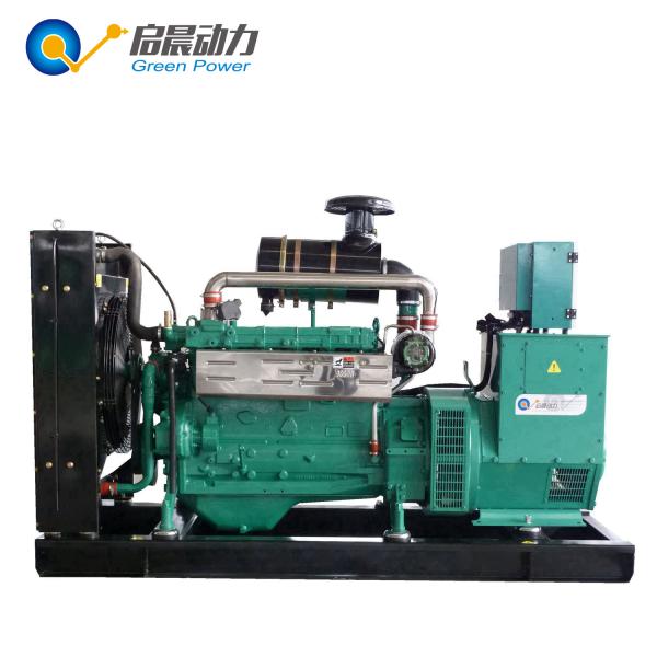 50 / 60Hz Open Type Biogas Generator Sets High Power And Maximum Efficiency