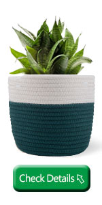 Home Decoration Basket For Plants Cotton Rope Woven Rattan Flower Pots Planter Cotton Rope Woven Rattan Flower Pots
