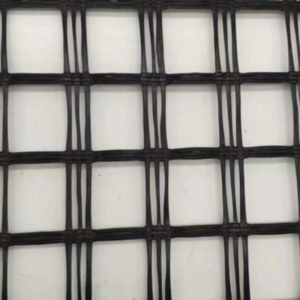 Steel Plastic Geogrid in with Acid Resistant and Base Reinforcement Function