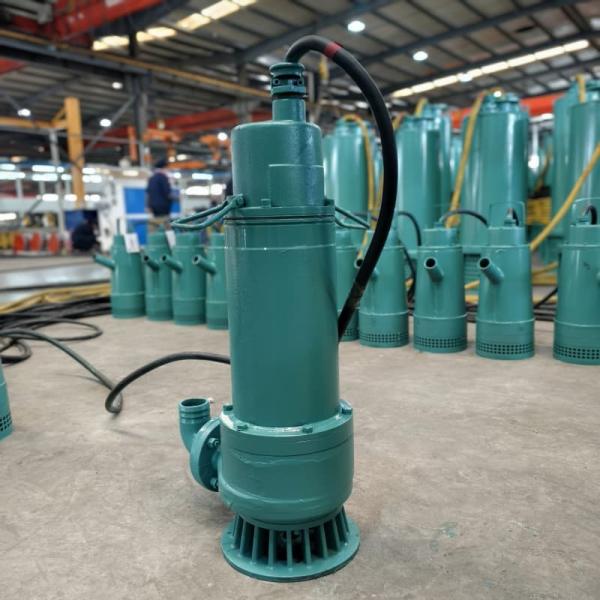 WQ15KW 20Hp Non Clogging Industrial Sewage Pumps With Powerful Drainage High Flow For Sewage