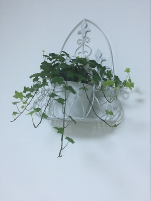 Green Flower Stand Hanging Wall Indoor Balcony Hanging Semi-Circular Flower Stand